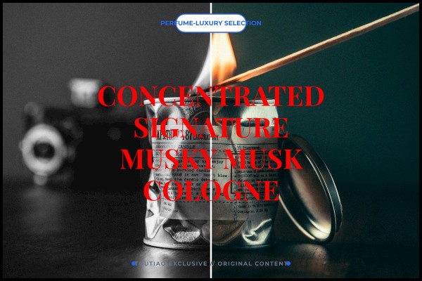 concentrated signature musky musk cologne