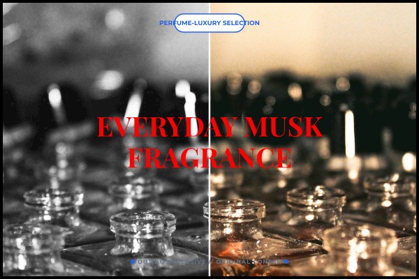 everyday musk fragrance