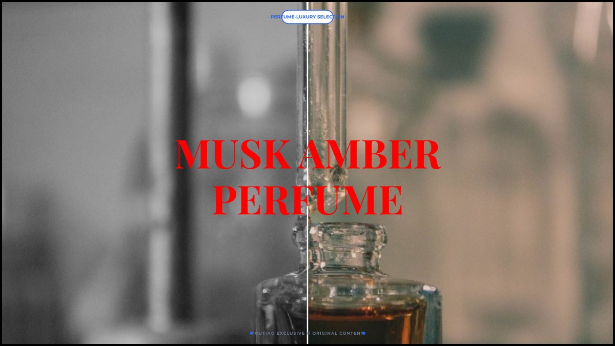 musk amber perfume