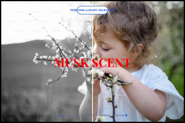 musk scent