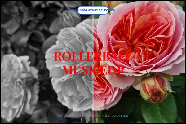 rollerball musk edp