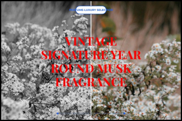 vintage signature year-round musk fragrance