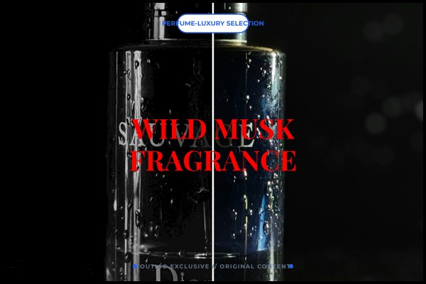 wild musk fragrance